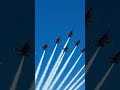 Blue Angels and Thunderbirds Stun Crowds in Rare “Super Delta” Flyover Over Florida Beach #shorts