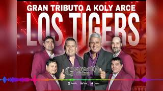 LOS TIGERS/GRAN TRIBUTO A KOLY ARCE