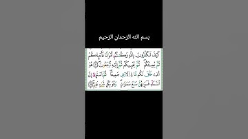 #آيات #من الذكر#الحكيم #اكسبلور #راقت