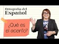 Comprensión del Acento y la Tilde en Español