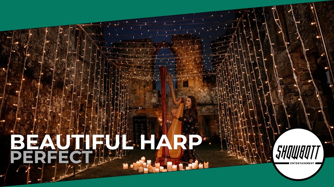 BEAUTIFUL HARP Stunning Classical & Pop music played by a fantastic