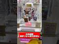 【バインバイン】実力で取れる優良ボール設定‼︎ 獲得のコツは◯◯ #shorts #クレーンゲーム #橋渡し #ufoキャッチャー