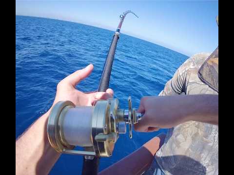 1/2 Day Surface Iron Fishing on the Monte Carlo
