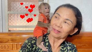 Affectionate Lulu Gently Stays by Grandma’s Side While Dad Is Busy
