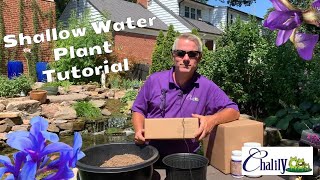 How to Plant Shallow Water Pond Plants