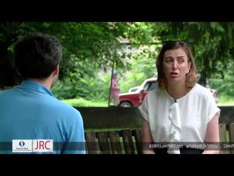 გურიის რეგიონში აზიური ფაროსანას შეწამვლის პირველი ეტაპი დასრულდა