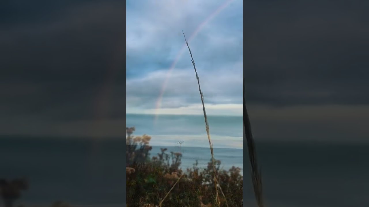 The ocean breathed, its chest rising and falling with the rhythm of tides.