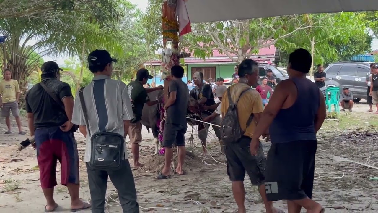 Tabuh nyangkean ritual tiwah desa dandang