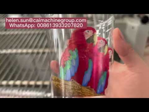 8 colors dry offset printing machine for PET cup , PP , PS yogurt cups, high speed cup printer