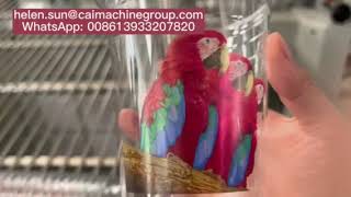 8 colors dry offset printing machine for PET cup , PP , PS yogurt cups, high speed cup printer
