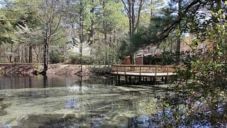 16012 BUTTERFIELD LN video tour