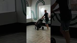 анаконда ест капибару # Anakonda frisst Wasserschwein # anaconda eats capybara