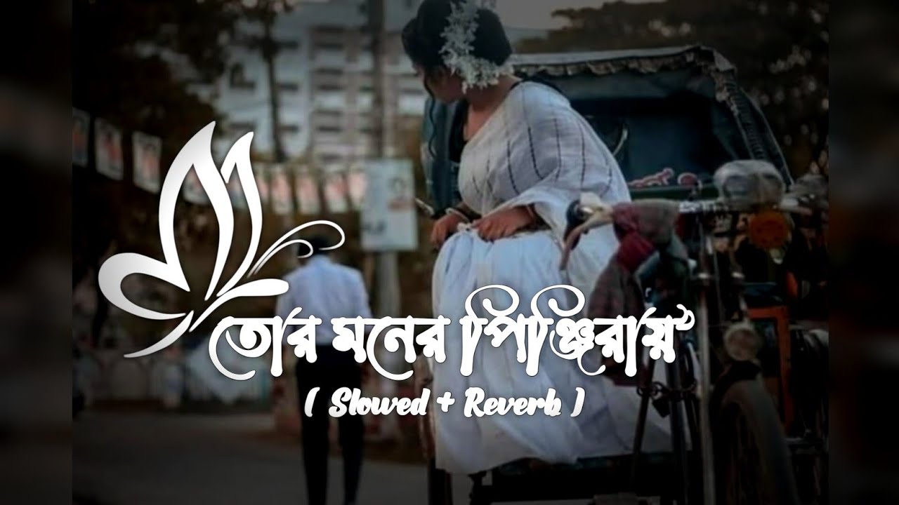 Jole Neve Jonaki | পিঞ্জিরায় | sad lofi | Headphonic Lofi