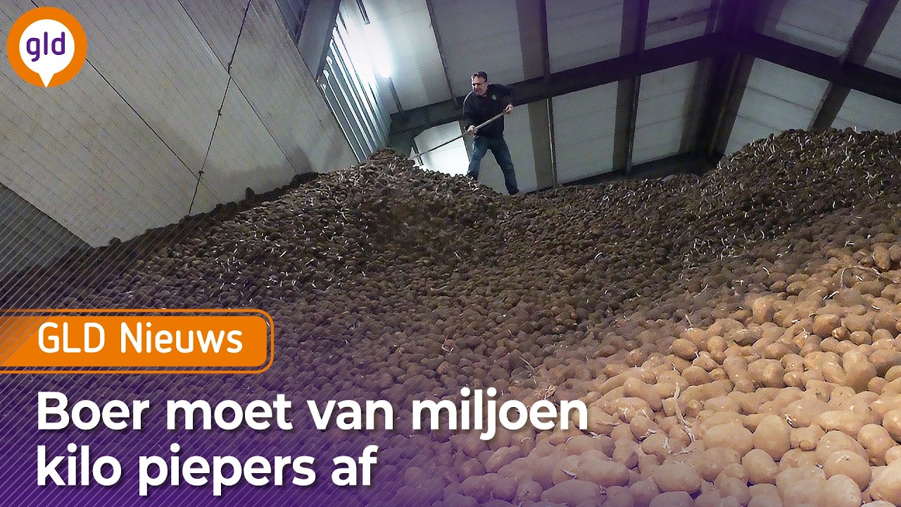 GLD Nieuws 20 februari 2026