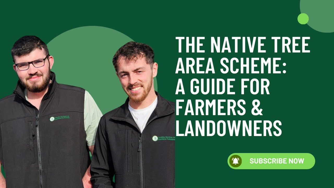 Native Tree Area Scheme Quick Guide - YouTube
