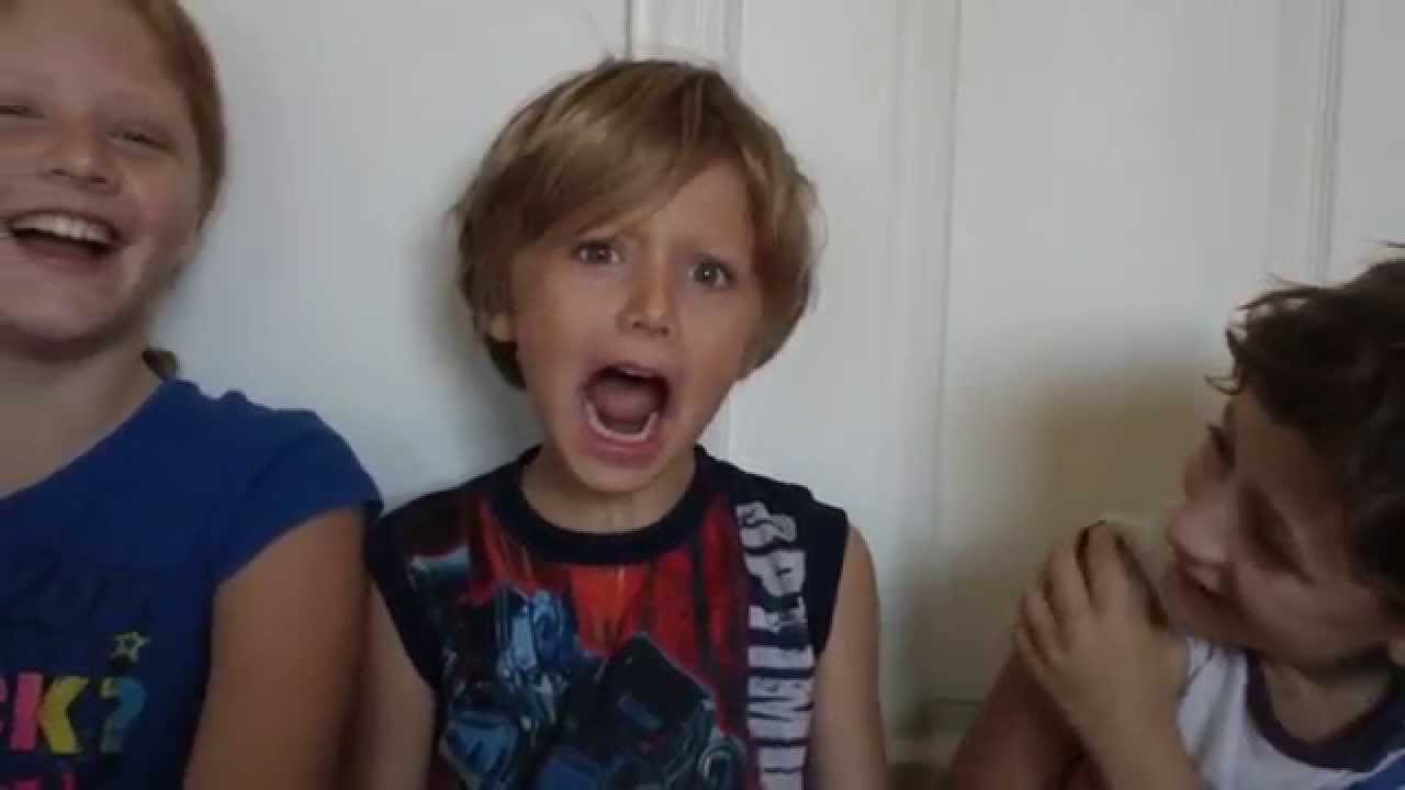 How Do Dog Years Work?