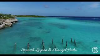 Spanish Lagoon & Mangel Halto, Aruba