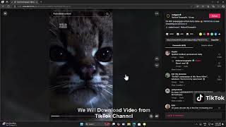 🚀 تحميل فيديوهات تيك توك بدقة عالية  بكل سهولة مجانا 🎥✨ screenshot 1