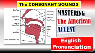 THE CONSONANT SOUNDS | Voiceless and Voiced Consonants| Mastering the American Accent