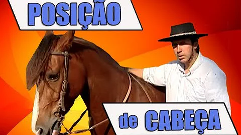 O que fazer para o cavalo parar de balançar a cabeça?