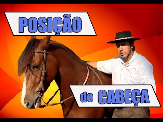 CAVALO PULANDO sem CABRESTO * Caiu? 