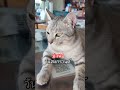 #คลายเครียด #เพื่อความบันเทิง #funny #food #ขำๆ