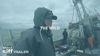Virtual SIFF Cinema Trailer: The Wild