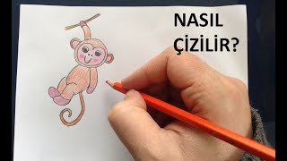 Maymun Resmi Nasıl Çizilir? - Kolay resimler çizimi - çocuklar için eğitici videolar