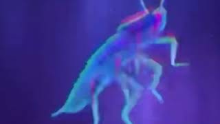 Dancing cockroach by GhostfaceNikol Hip meme