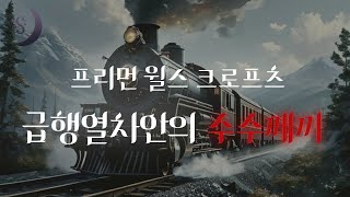 열차안에서 일어난 살인 사건/ 급행열차안의 수수께끼/ ASMR