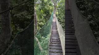 Paradise Amazon Lodge, Puerto Maldonado, Madre de Dios, Perú 🇵🇪