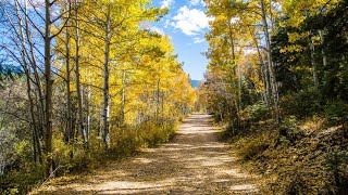 soft music to relax "autumn leaves" 轻柔的音乐放松“秋叶” screenshot 2