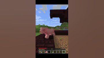 Minecraft, But every time I kill a mob a random structure is generated.