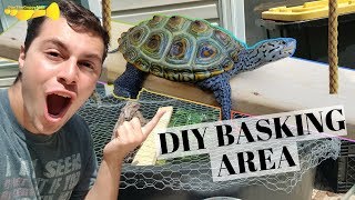 DIY Turtle Basking Platform For $2! | Turtle Basics