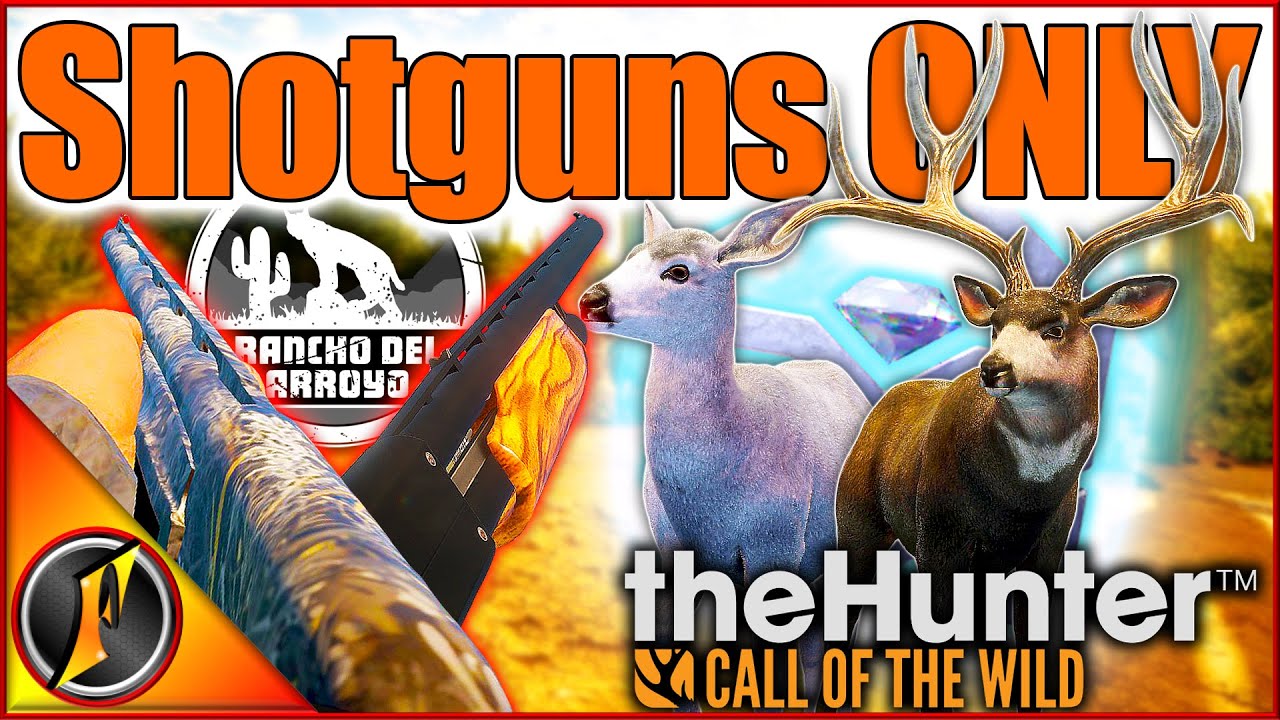 SHOTGUNS vs Rancho Del Arroyo! Diamond & Rare Mule Deer in theHunter