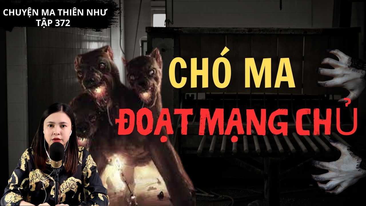 Chuyện Ma - CHÓ MA ĐOẠT MẠNG CHỦ - [ Tập 372 ] - YouTube