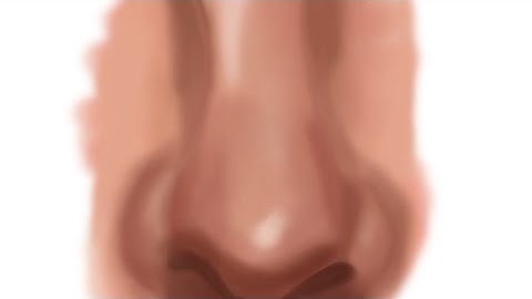 Autodesk nose tutorial