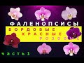 Фаленопсисы бордовых, красных, розовых оттенков . Часть 1.