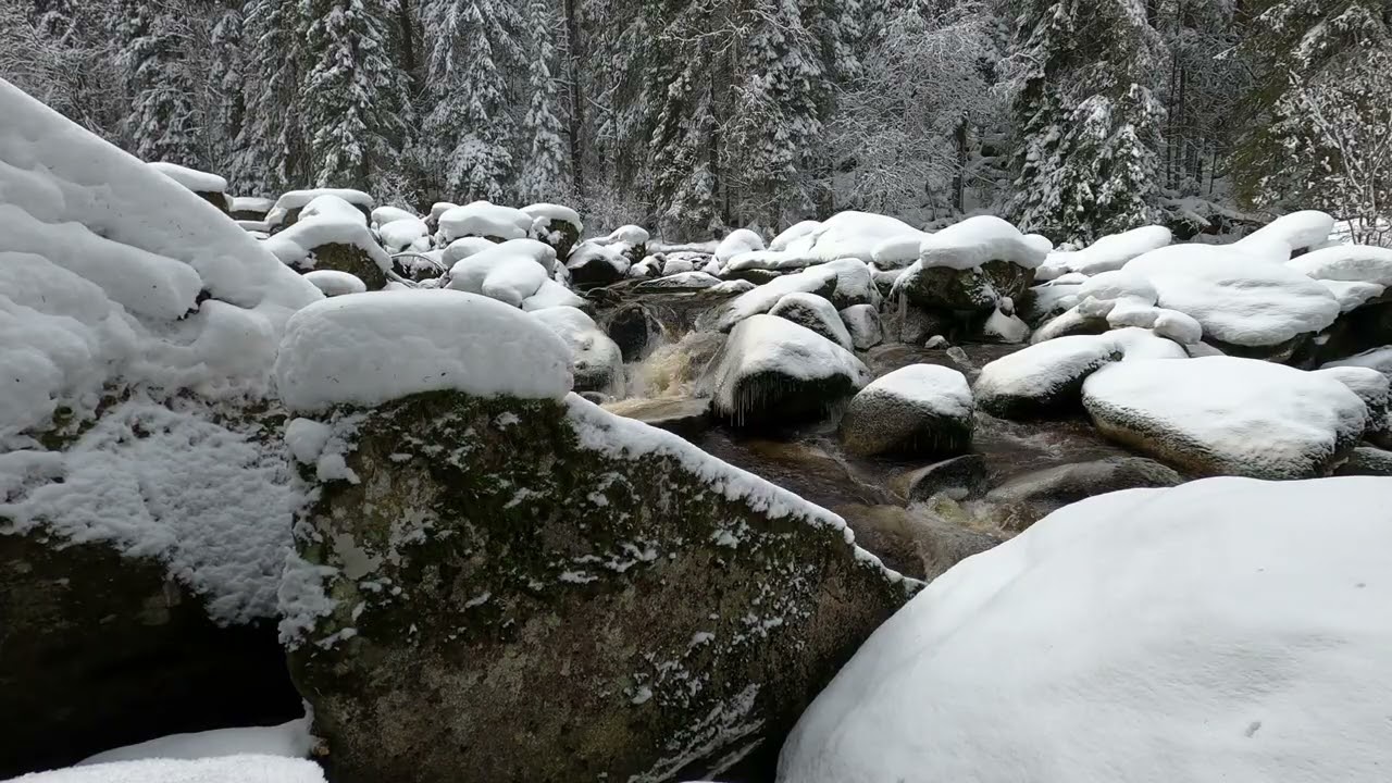 Winter Forest Dreams ~ Peaceful Relaxing Music