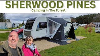 Arriving At SHERWOOD PINES CAMPING, The Perfect Getaway For A Forest Adventure!