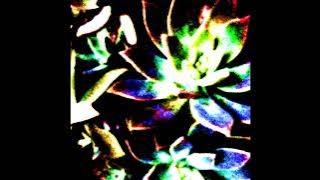 One Billion Conveyor Belts - Rosette (Full Album 2024)