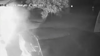 Blowtorch burglar tries to bust into spy shop