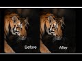 4 things to know for sharper and crispier images