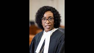Democrat Judge ruins New years #funny #aivideo #newyear2026