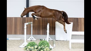 Video Viento van de Doornhoeve