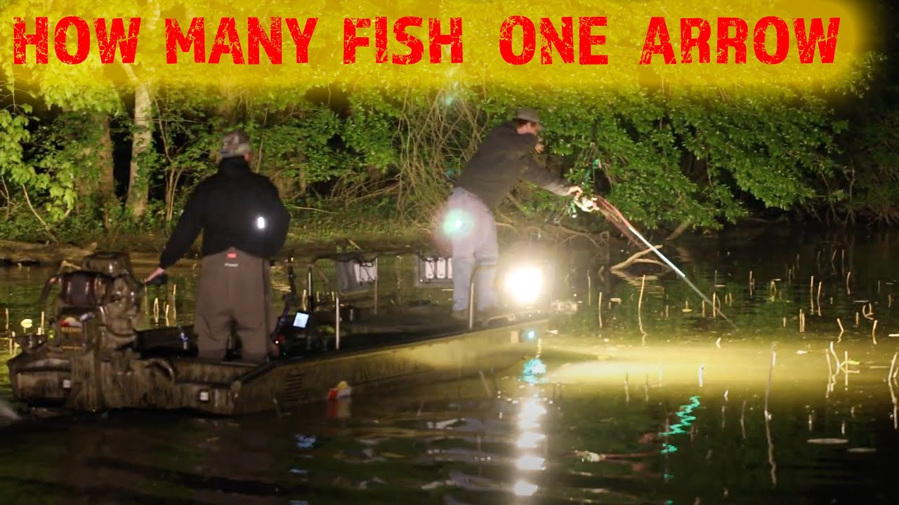 BOWFISHING LIGHTS BY SOUTHERN LITE LED BEST 