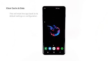Facebook crashes on Samsung Galaxy S10 Plus
