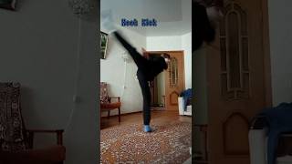 Karate/Jiu-Jitsu/Taekwondo/Kung-fu Hook kick