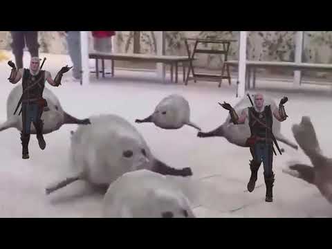 Geralt of Rivia dances to Bouncing Seals
