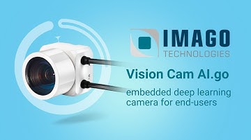 Deep Learning to go: Vision Cam AI go